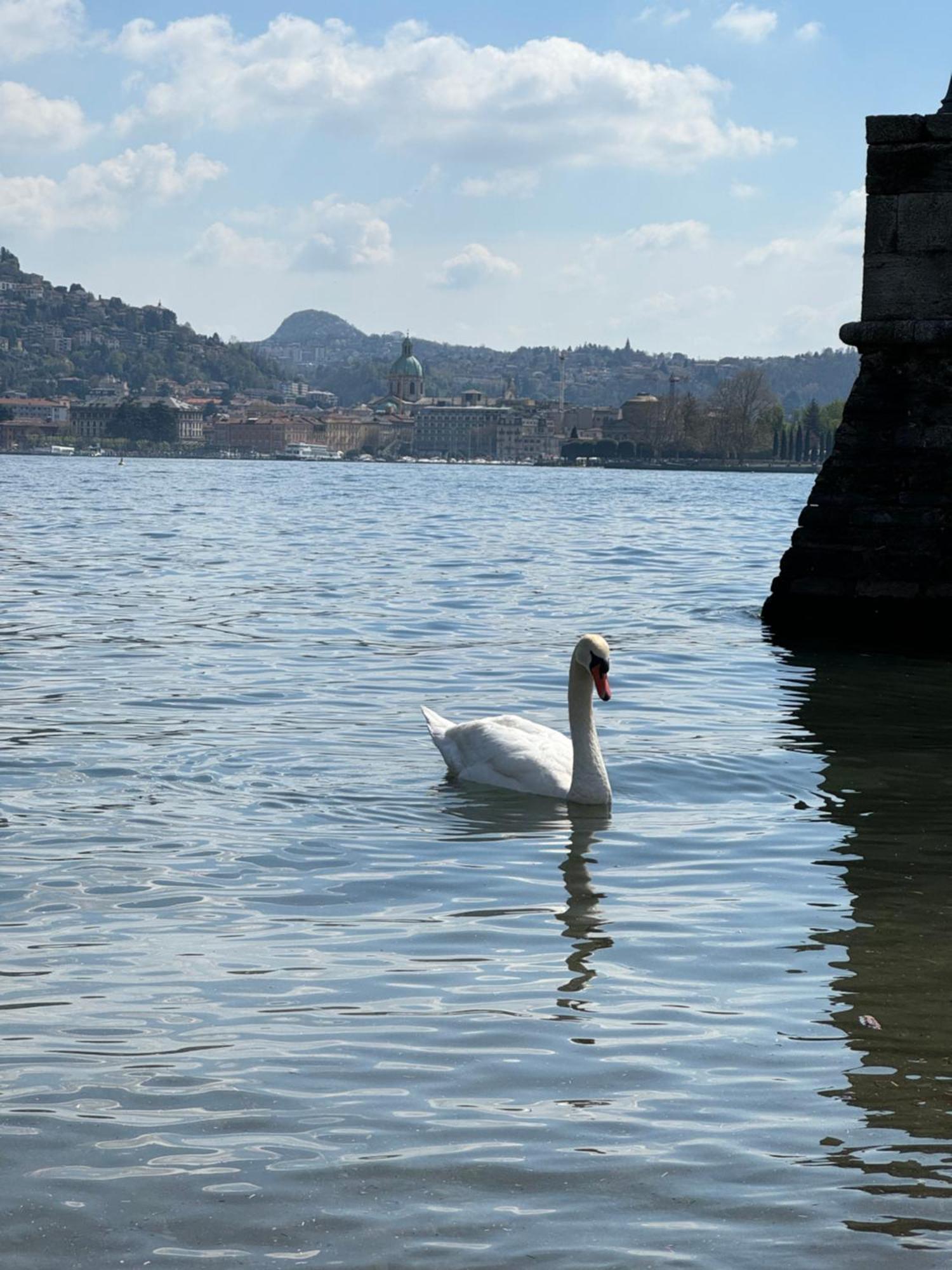 Portatorre Suite, A Charming In The Heart Of Como, Free Private Parking, Air Conditioning & More! Como