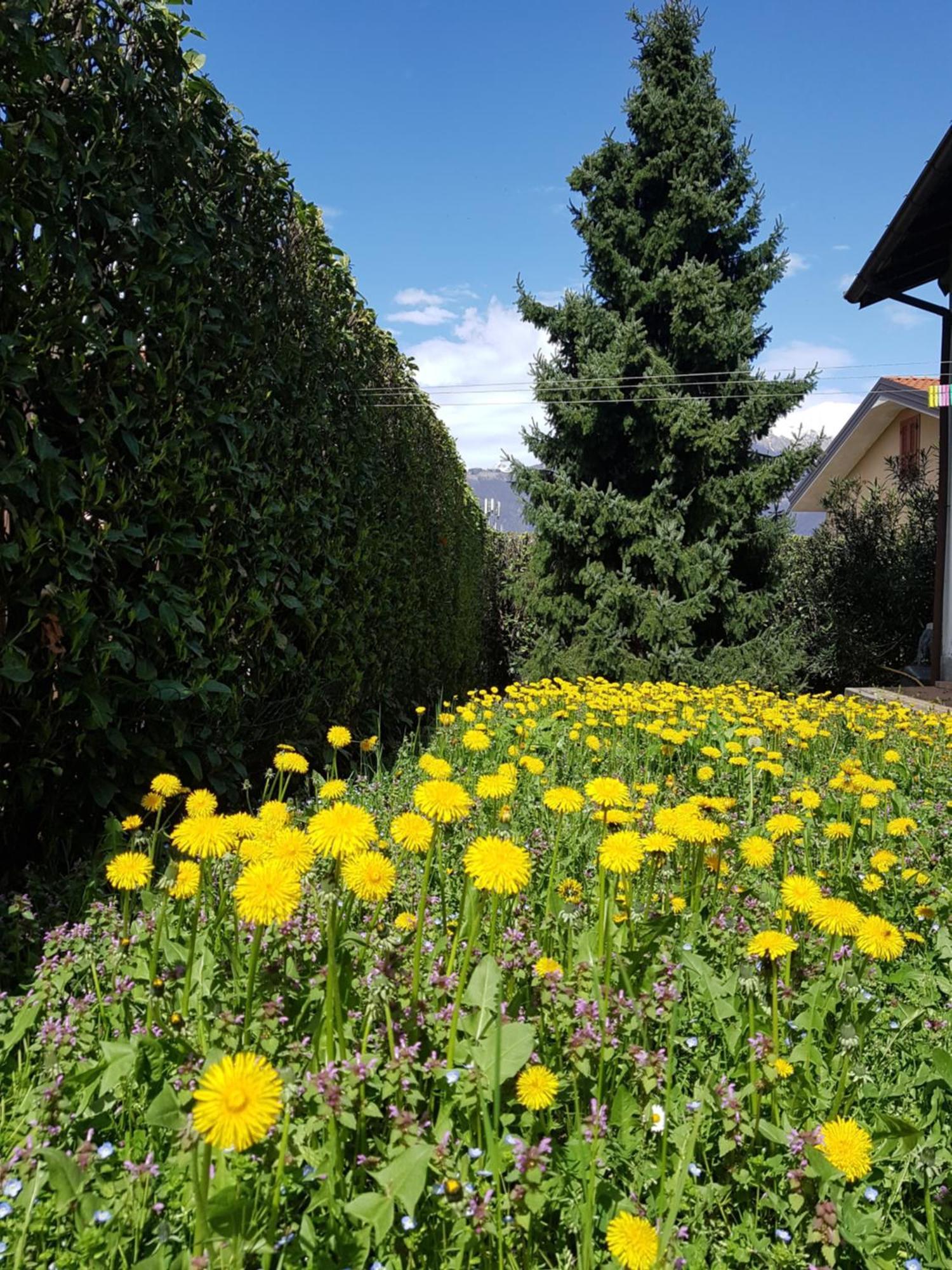 Iris -pet Friendly - Garden - Private Parking- Bike Friendly House