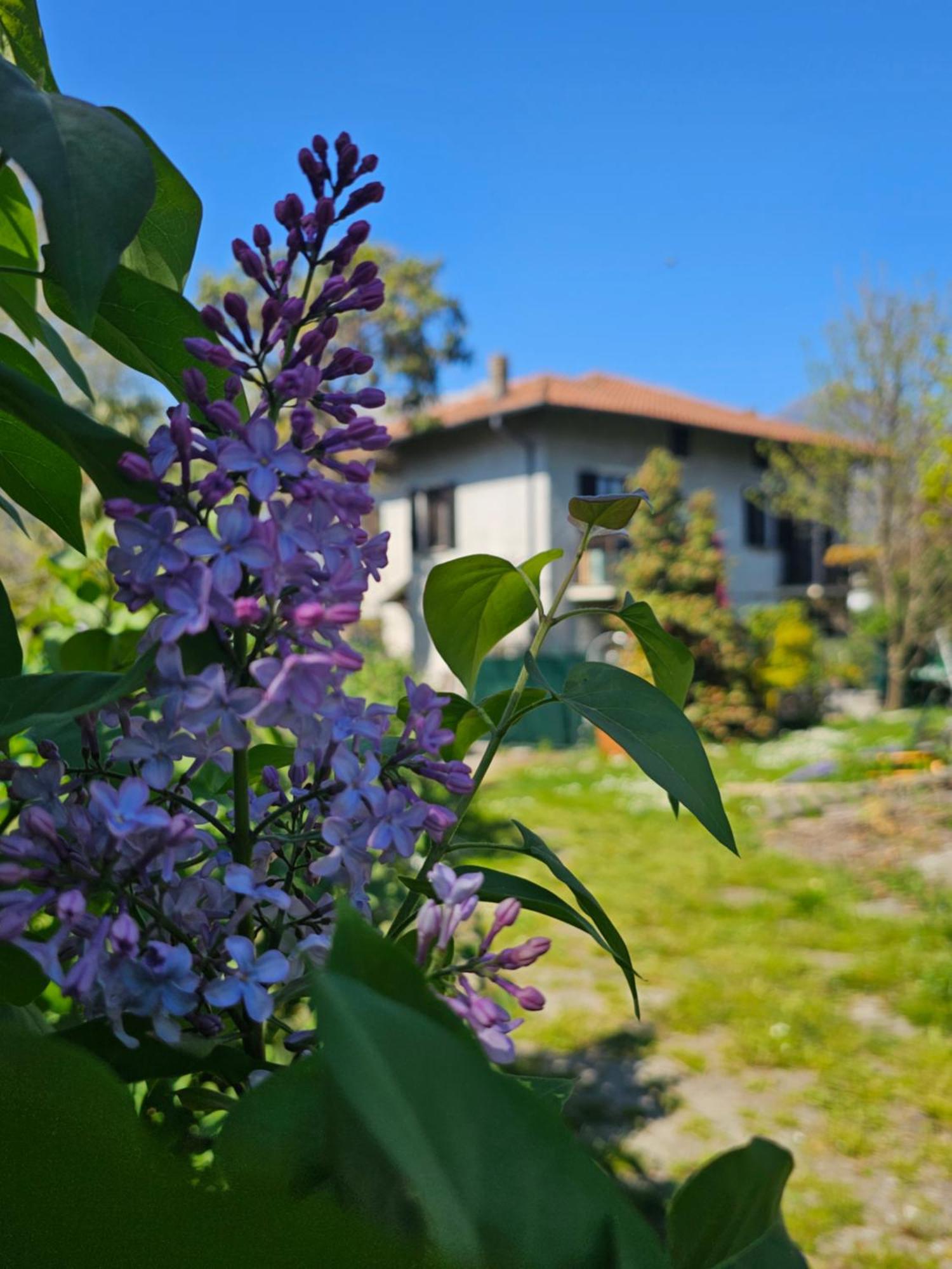 Foreground - Pet Friendly Stay- Garden-parking-lake View- Bike Friendly House