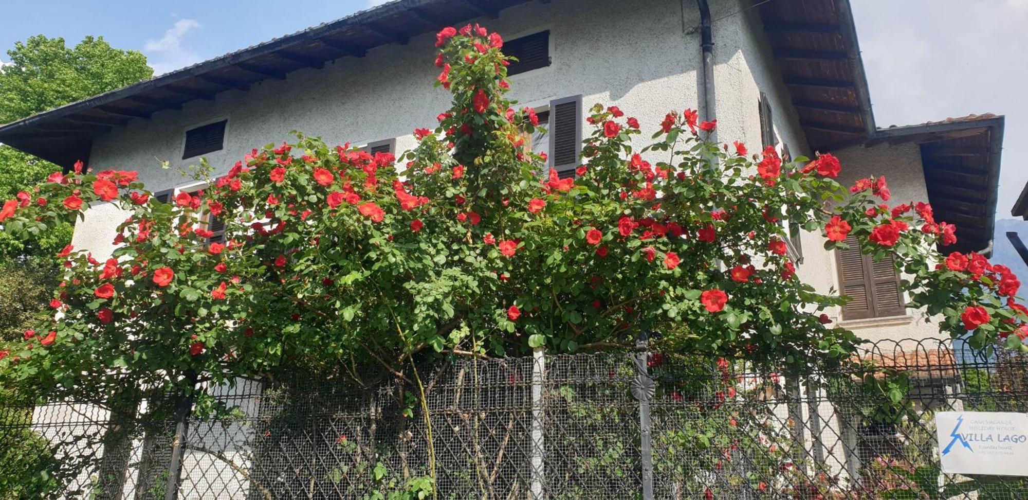 Foreground - Pet Friendly Stay- Garden-parking-lake View- Bike Friendly House Casa vacanze