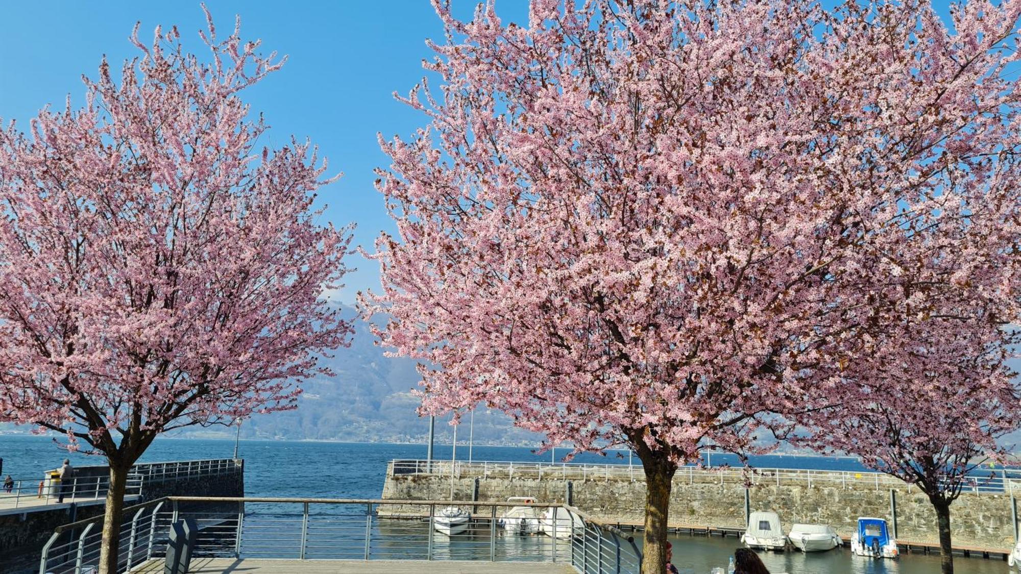 Foreground - Pet Friendly Stay- Garden-parking-lake View- Bike Friendly House Colico