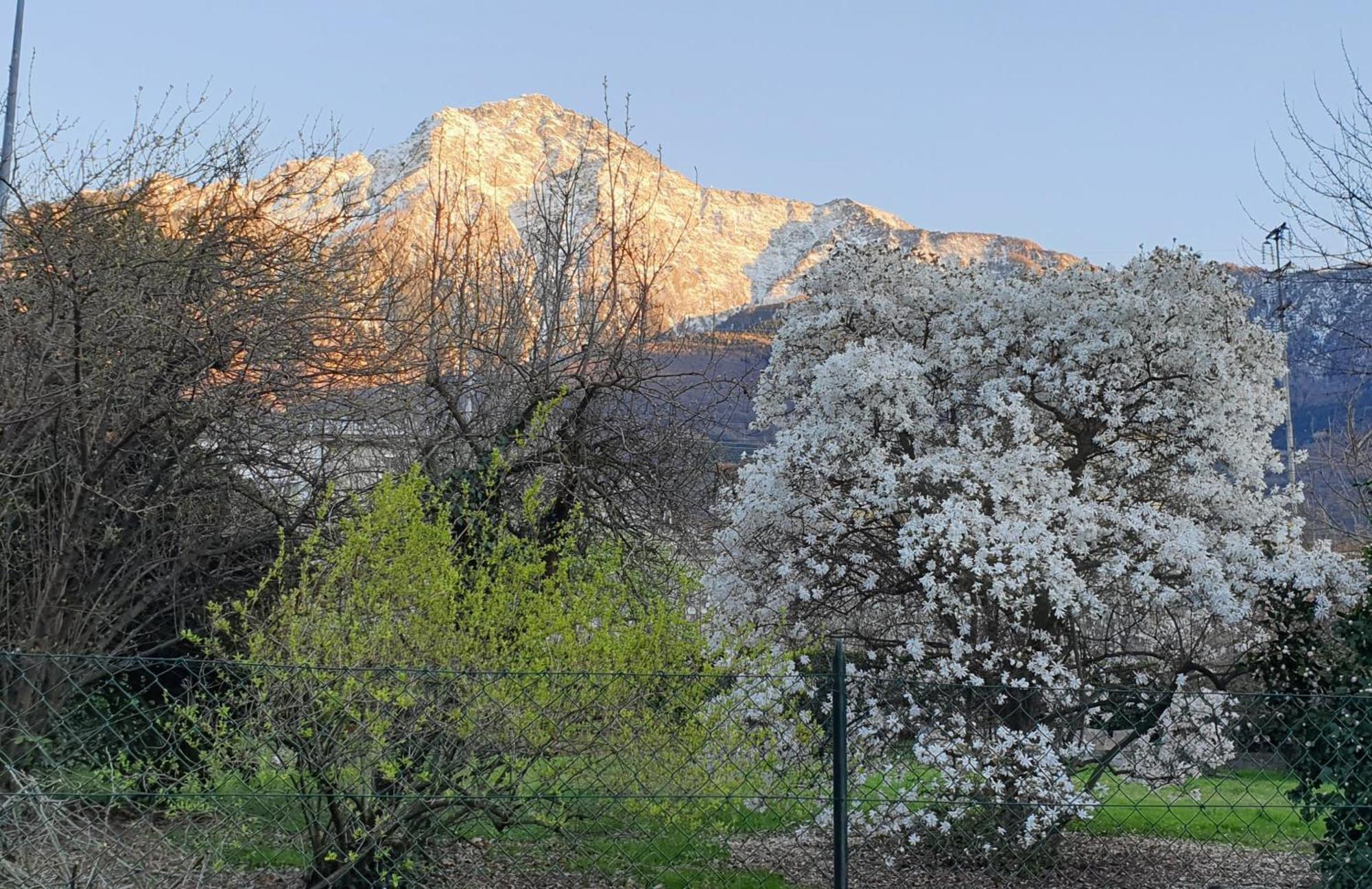 Casa vacanze Foreground - Pet Friendly Stay- Garden-parking-lake View- Bike Friendly House *