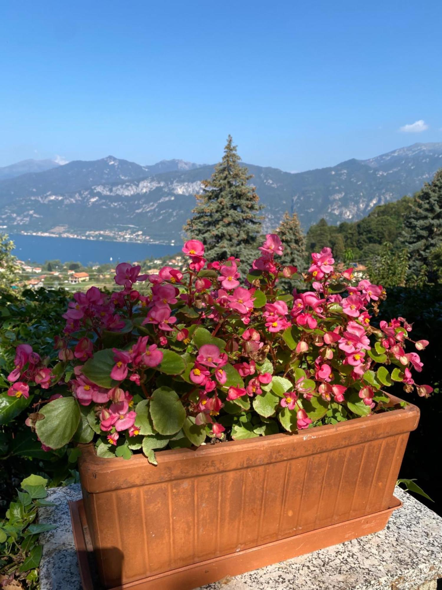 Panorama * Bellagio
