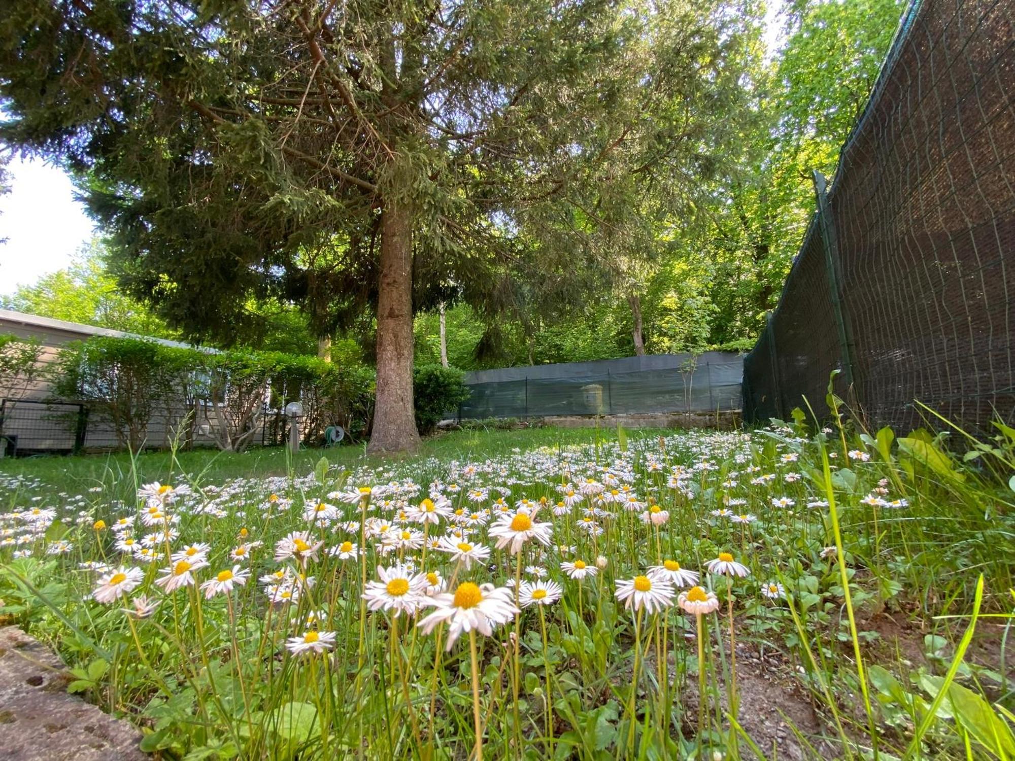 Camping Montorfano Campsite