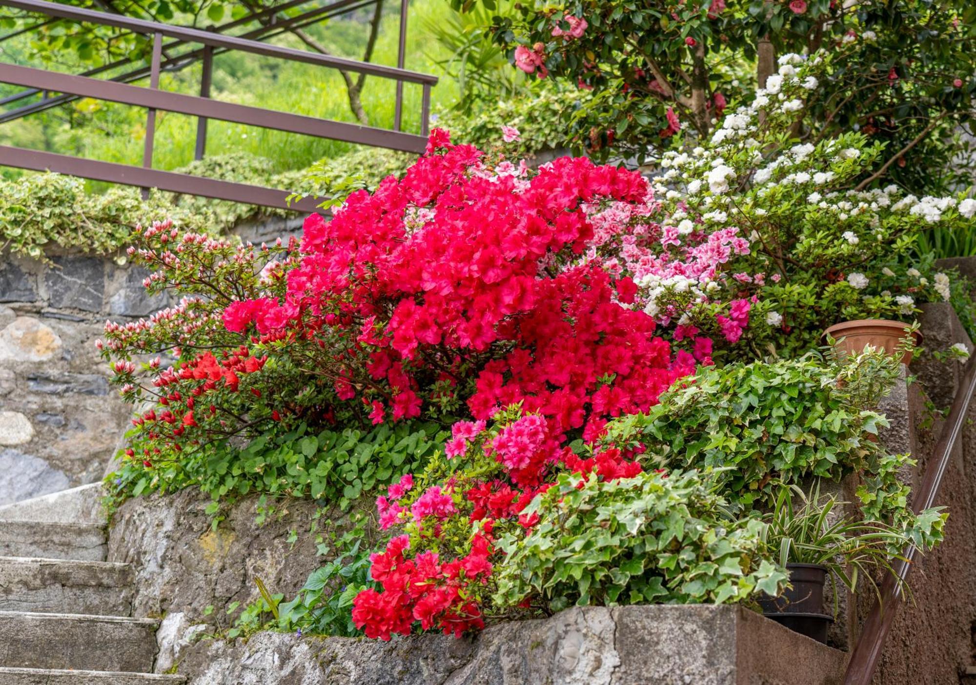 Apartment Bellavista Garden And Flowers Varenna