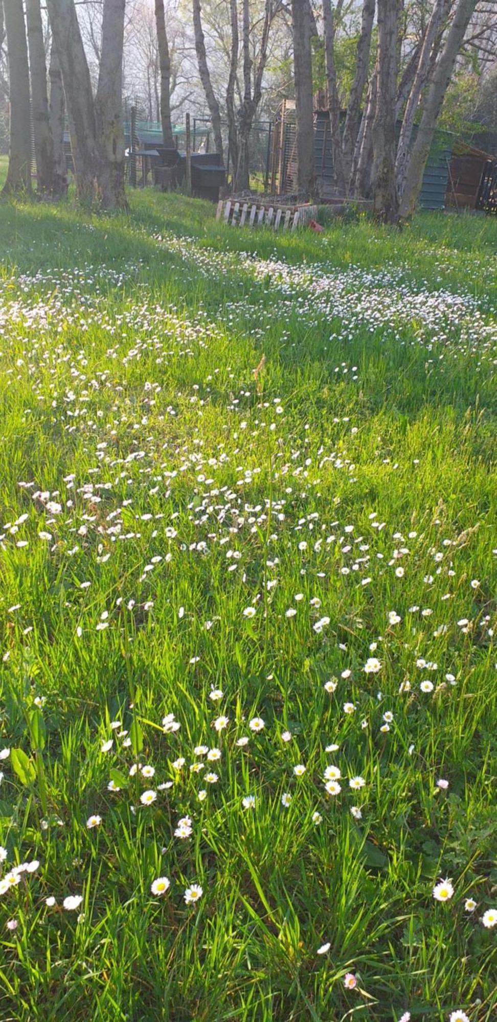 Casa Cascina Ronco- Natura E Relax Vicino Di * Erba
