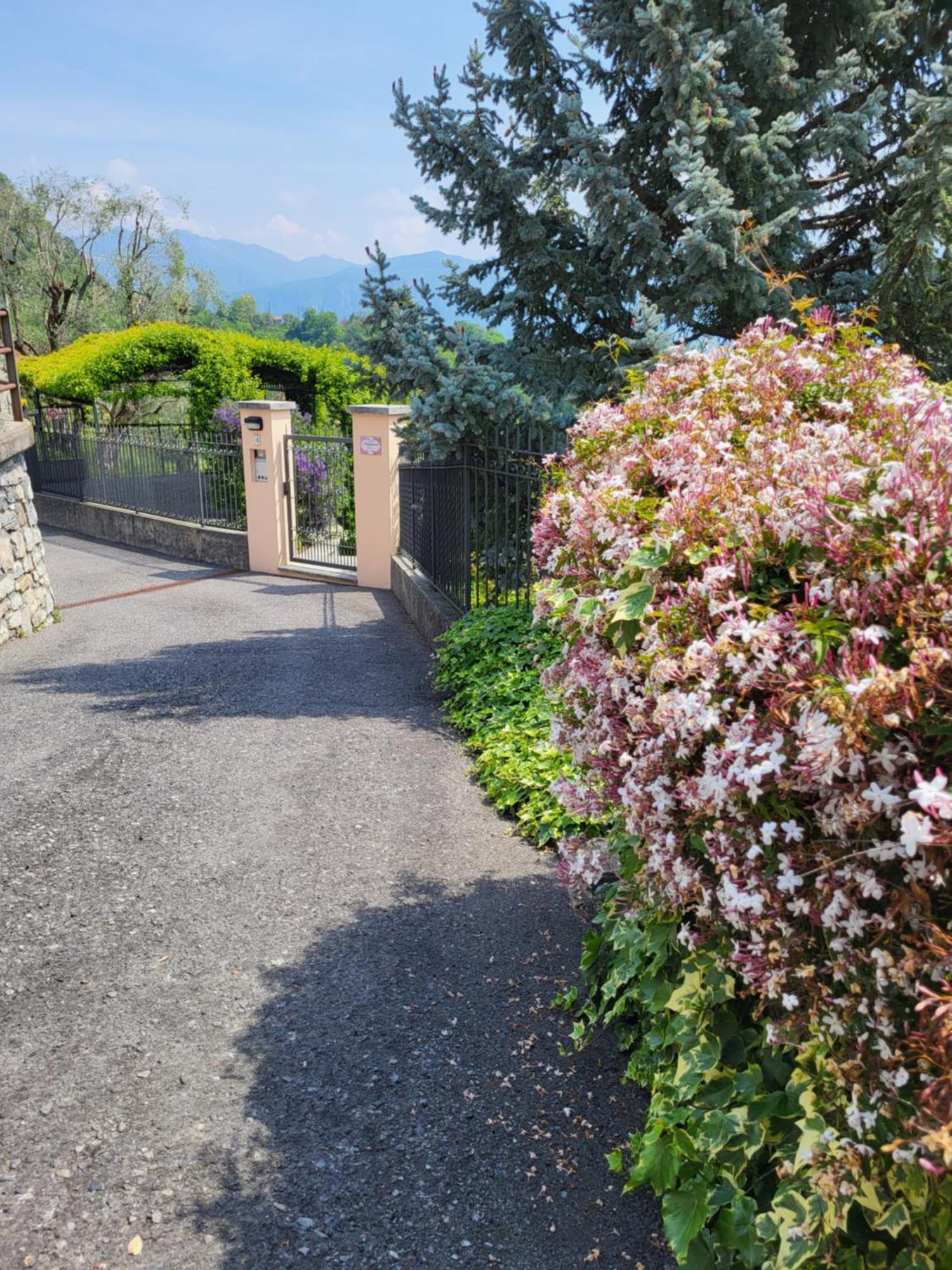 Appartamento Casa Intignano - Con Terrazzo Vista *