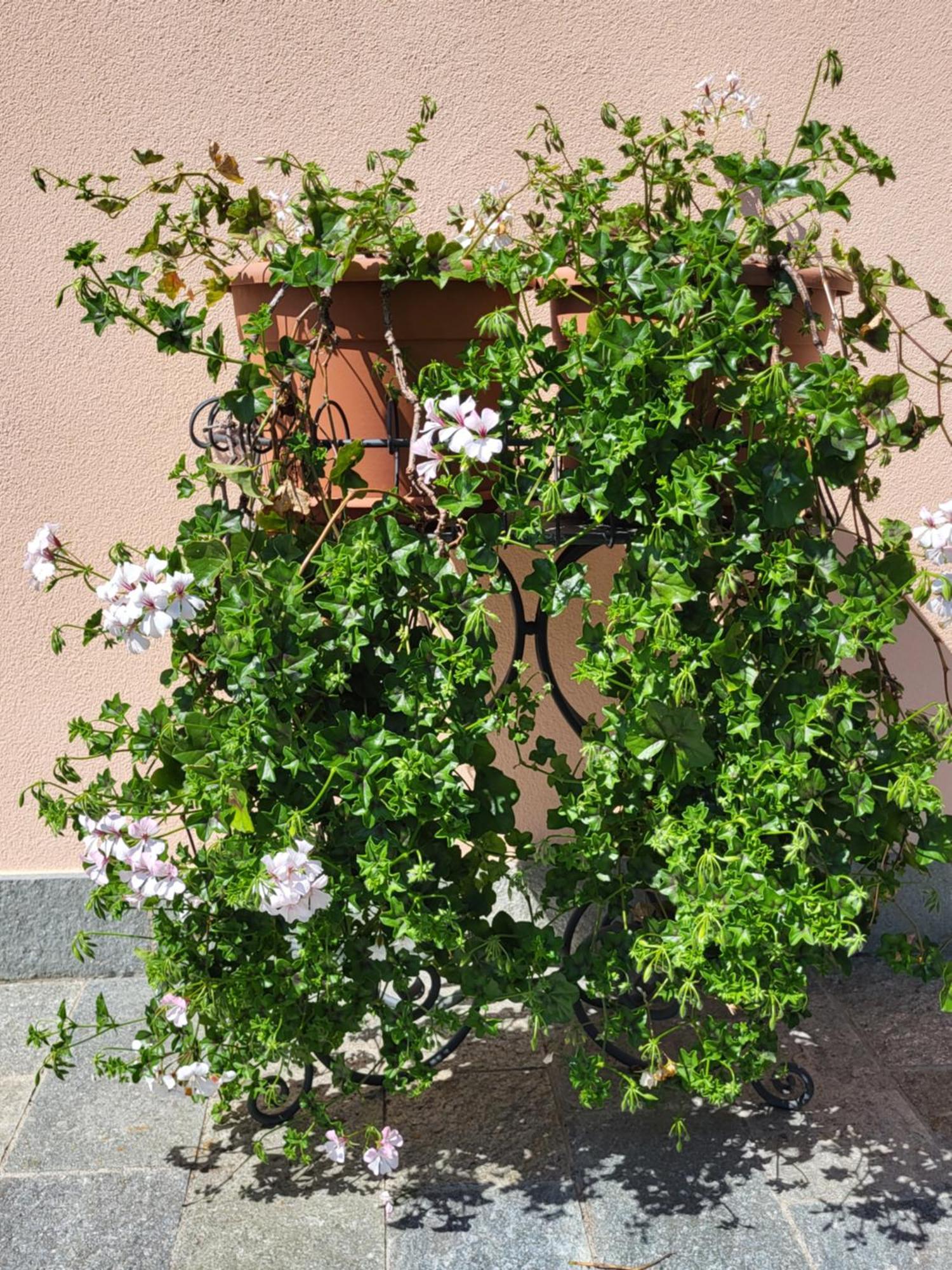 Appartamento Con Bagno E Portico Vista