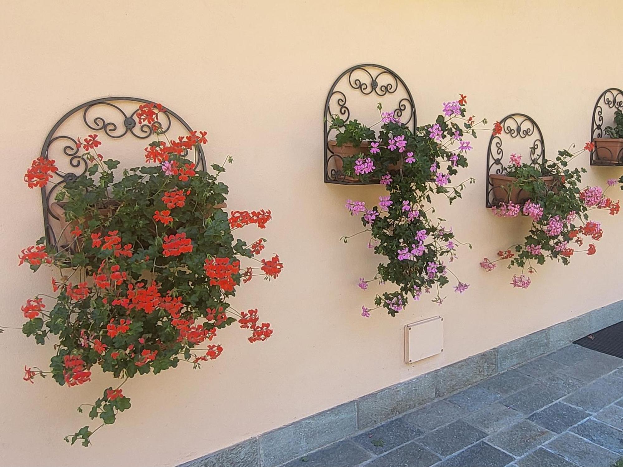 Appartamento Casa Intignano - Con Terrazzo Vista *
