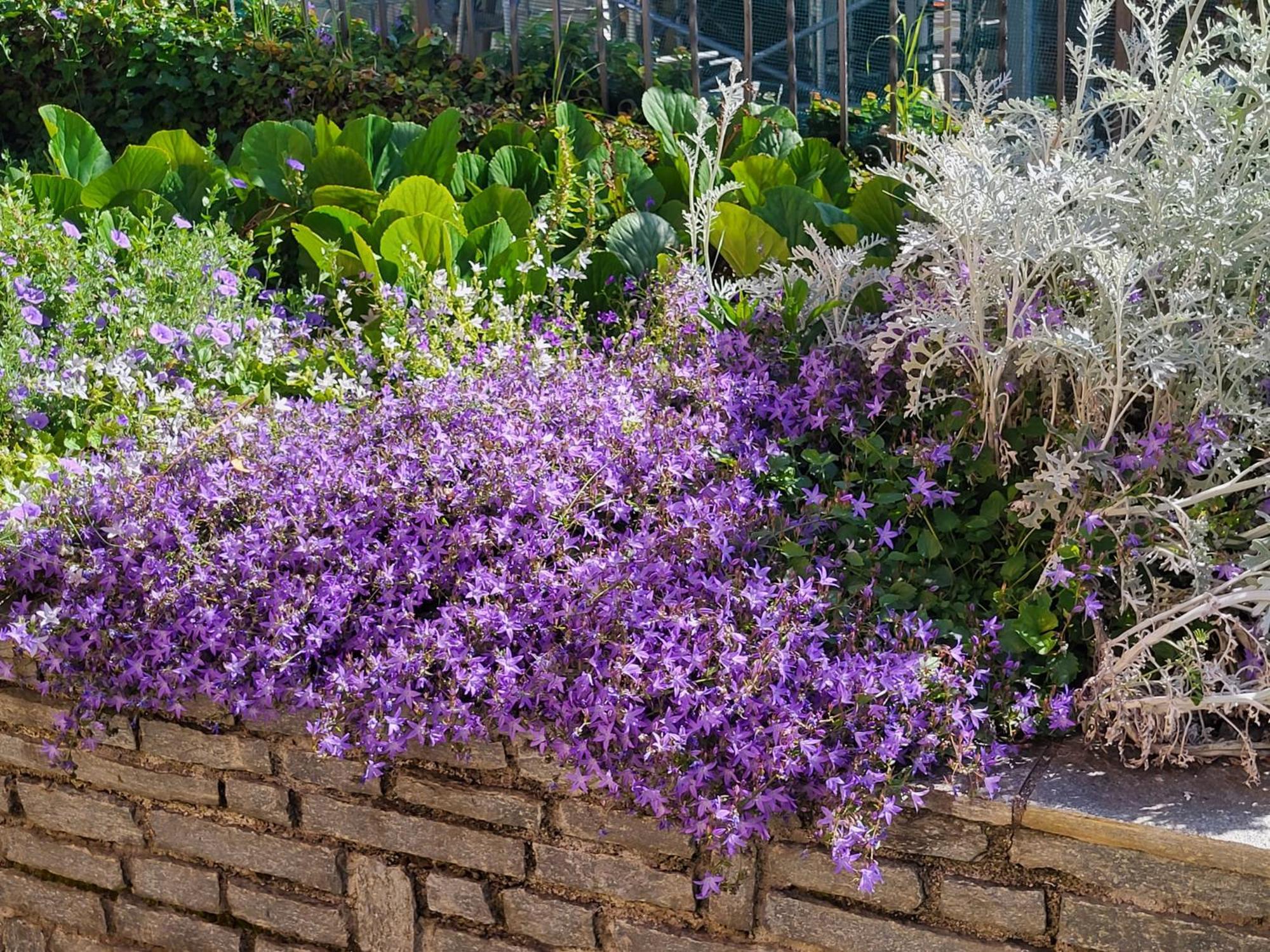 Casa Intignano - Con Terrazzo Vista