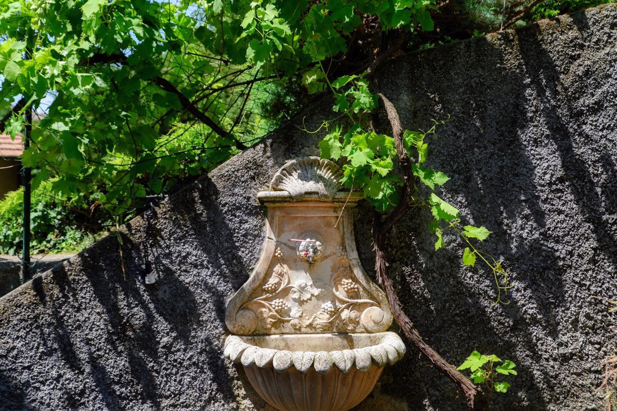 Apartment Wisteria On *