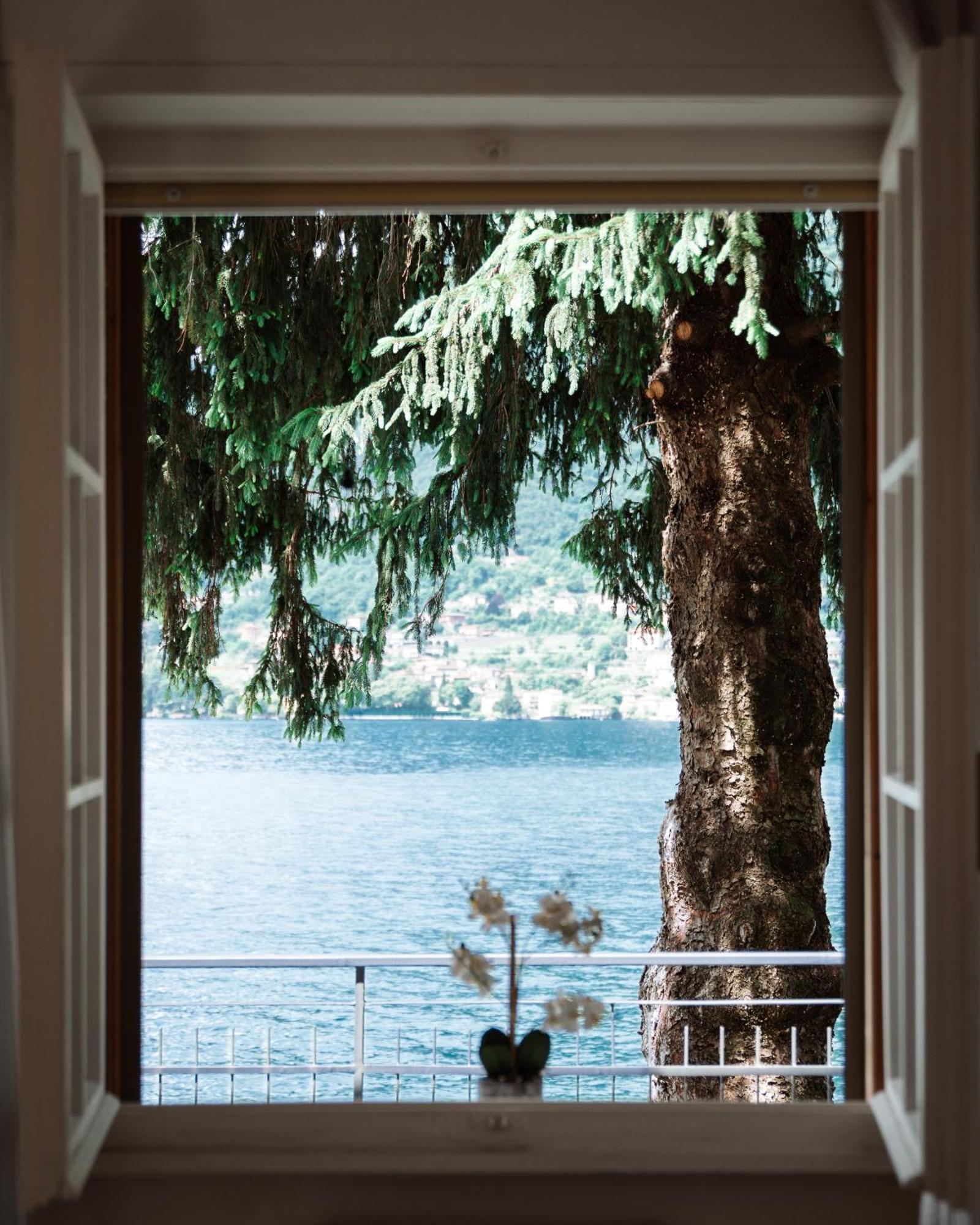 La Luna Bed & Breakfast Pognana Lario