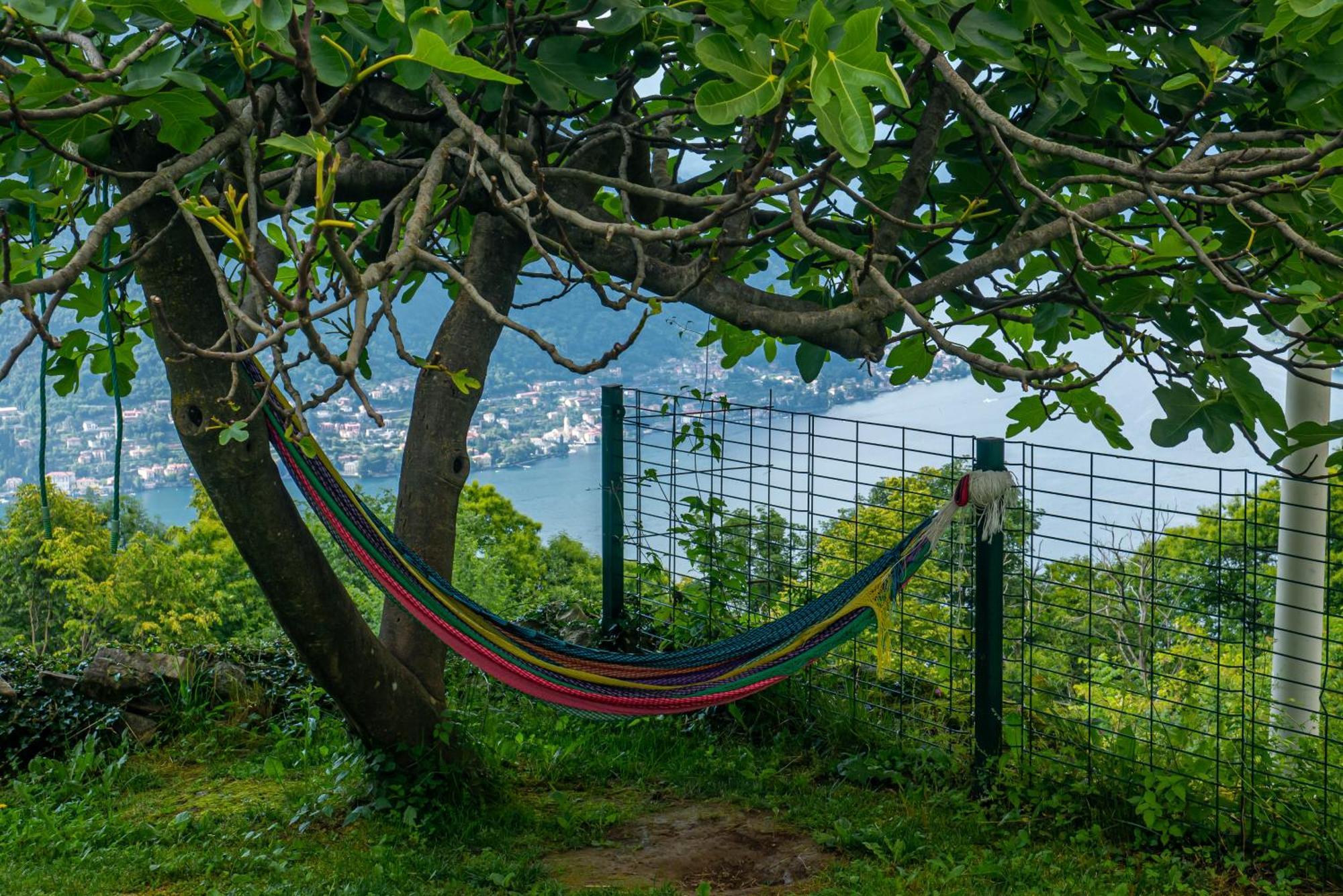 Essentia Bed & Breakfast *