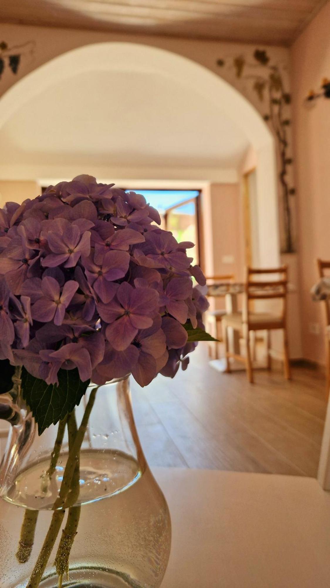 Bed & Breakfast Foresteria Simona