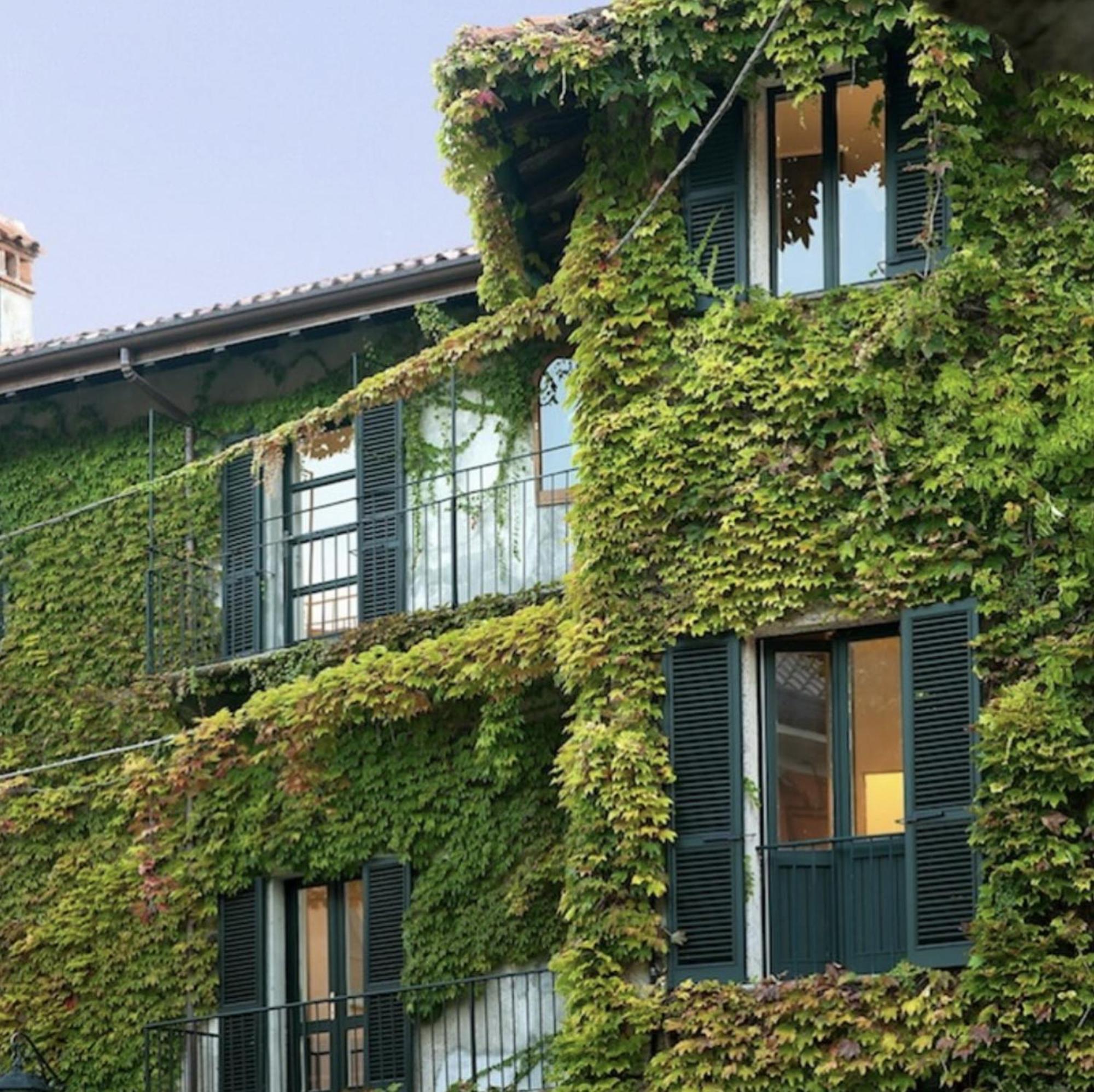 Apartment Pescallo *