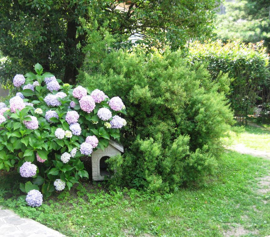La Casa Di Bice Villa Dervio