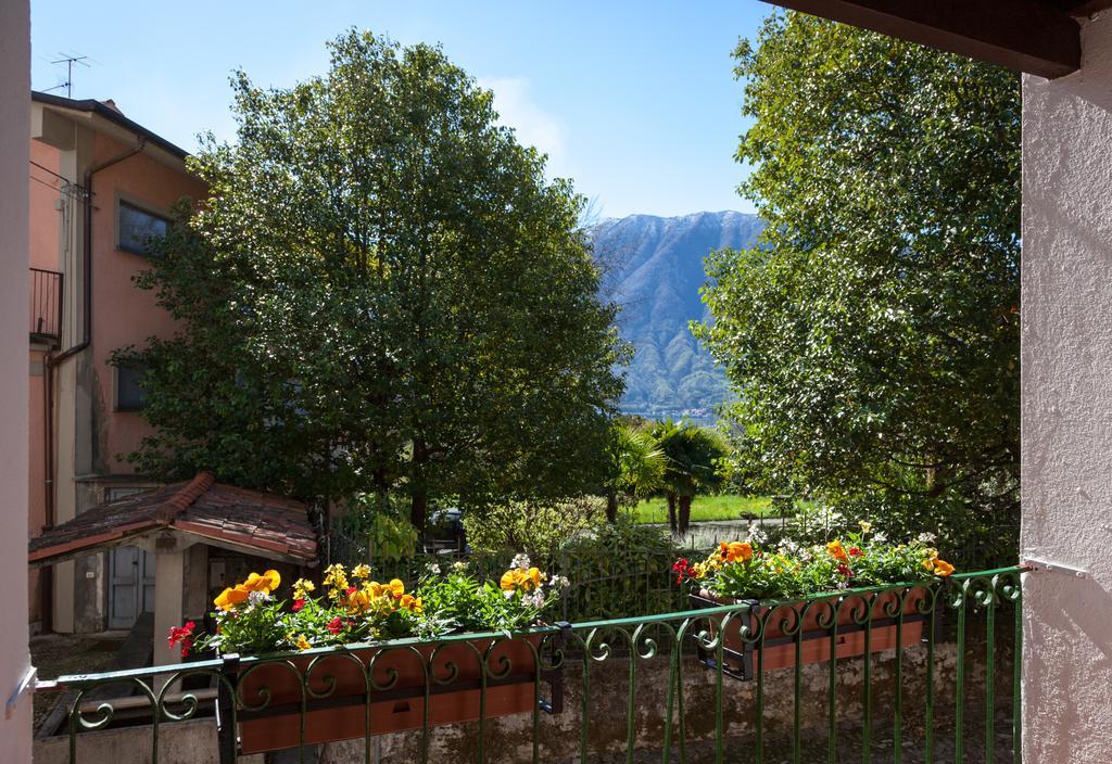 Nido Del
