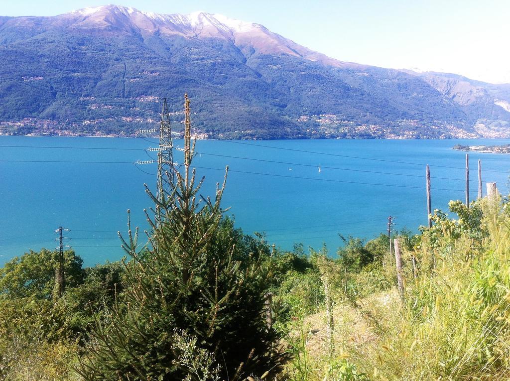 Bed & Breakfast B&B Poggio Solivo