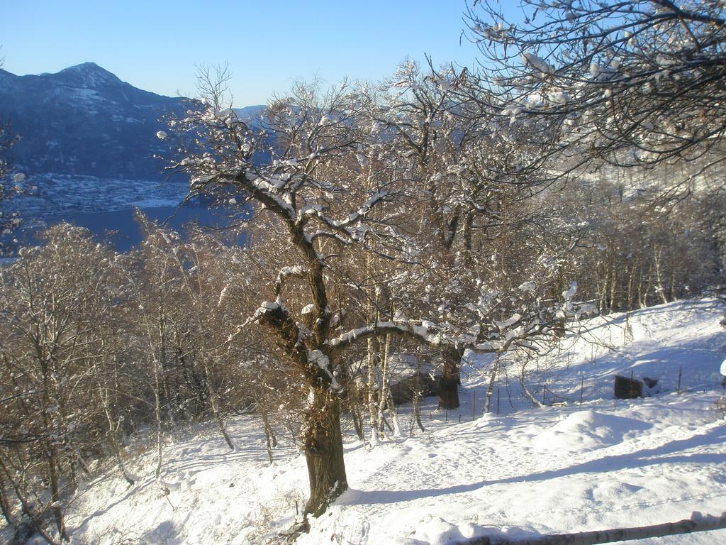 Chalet Sensone Apartment