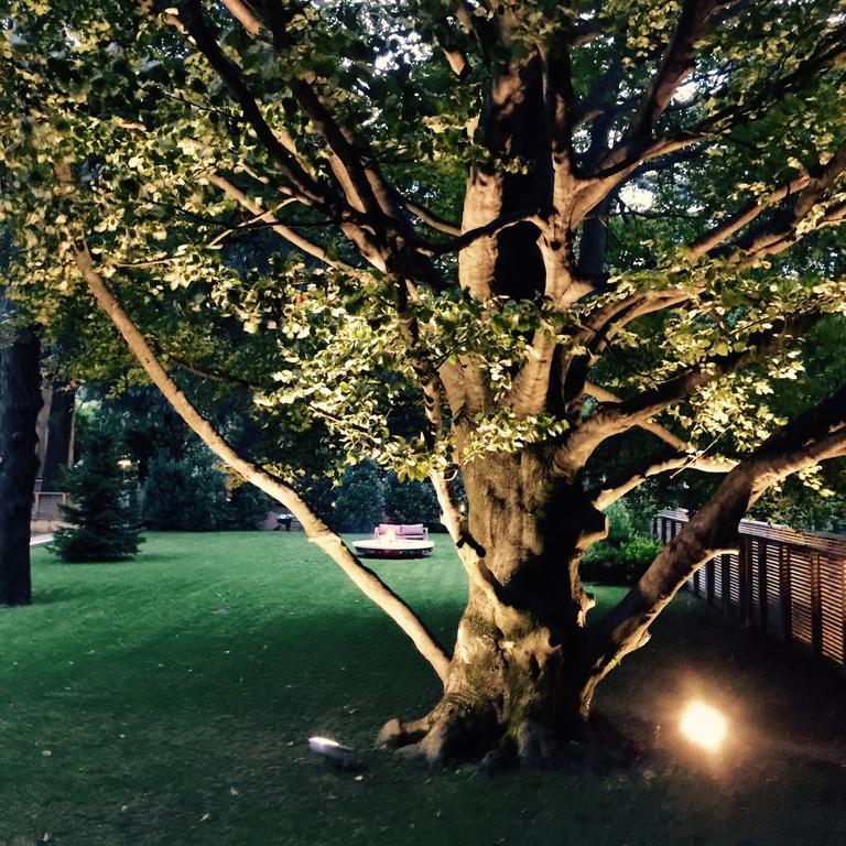 Casa Sull'albero Guest house Malgrate