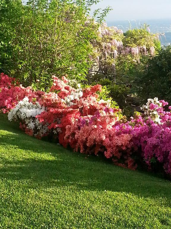 Casa Vacanze Le Violette * Brunate