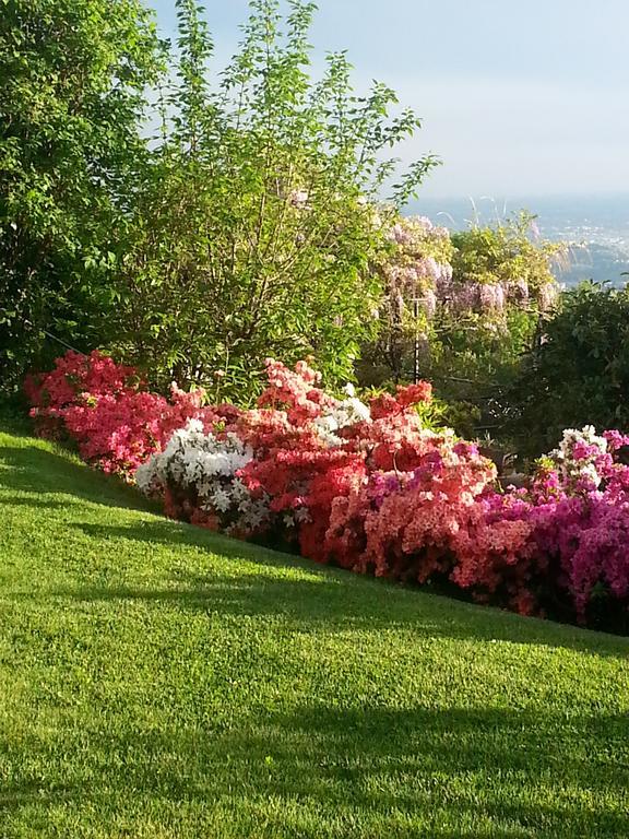 Holiday home Casa Vacanze Le Violette Brunate