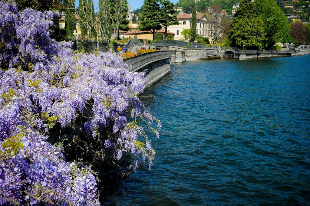My Wonderful In * Como