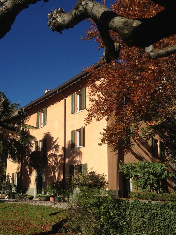 Antico Glicine Maslianico