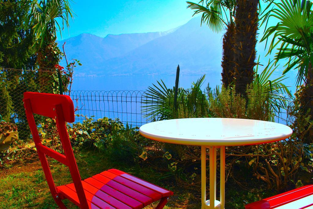 Palm Bay Garden *