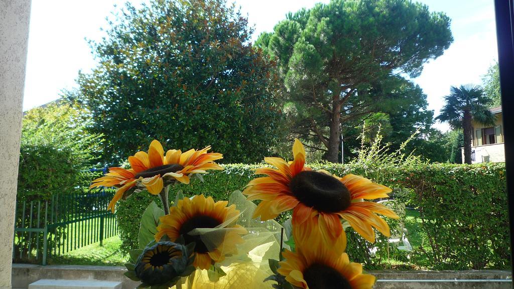 Il Girasole