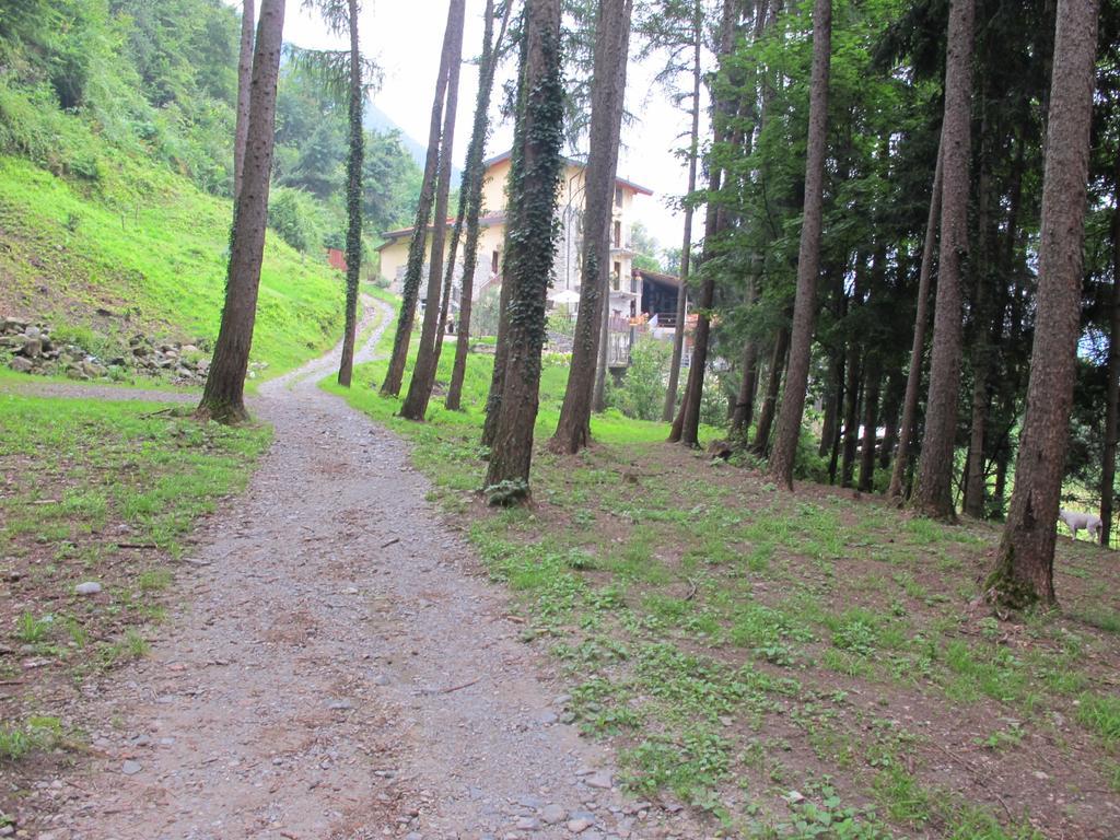 Farm stay Madonna Dei Ceppi Lezzeno