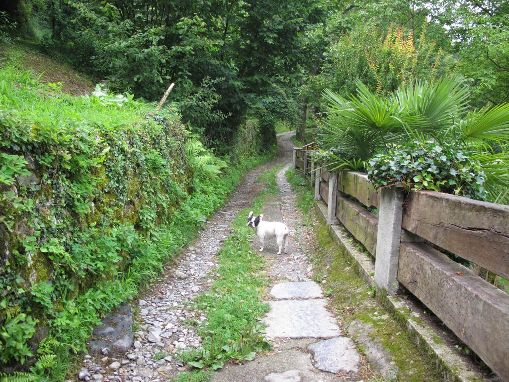 Farm stay Madonna Dei Ceppi