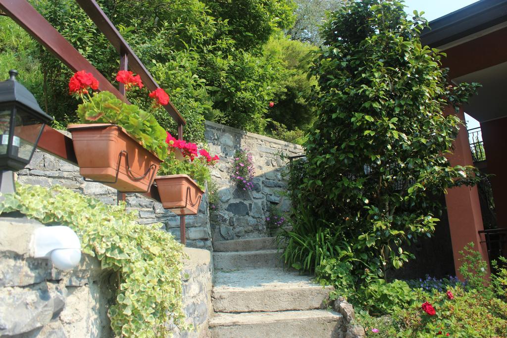 Bellavista Garden And Flowers Apartment