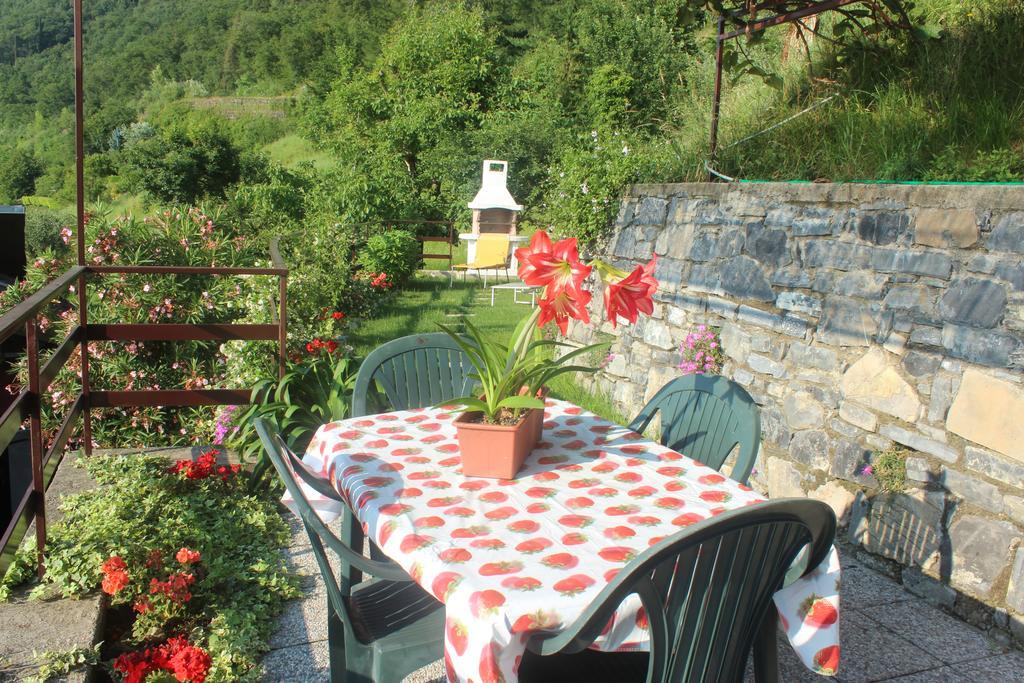 Bellavista Garden And Flowers Apartment *