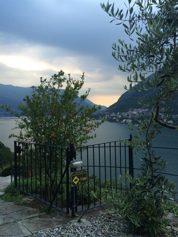 Casa Vacanza Castagna Nesso