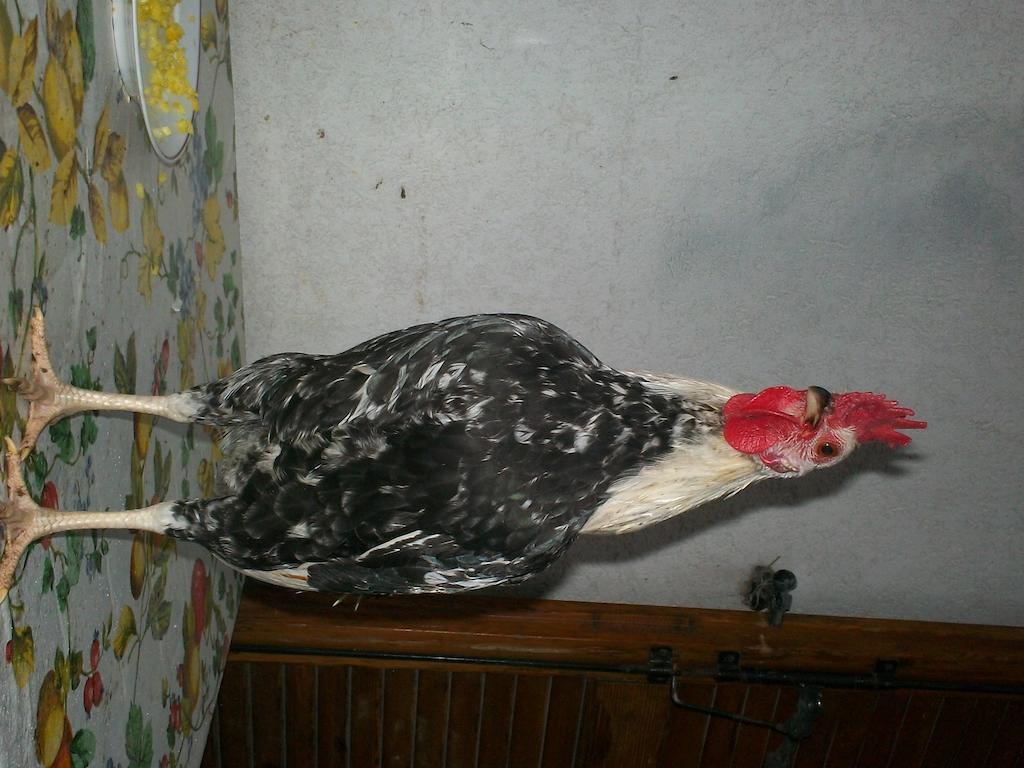 B&B Agrifarm Calolziocorte