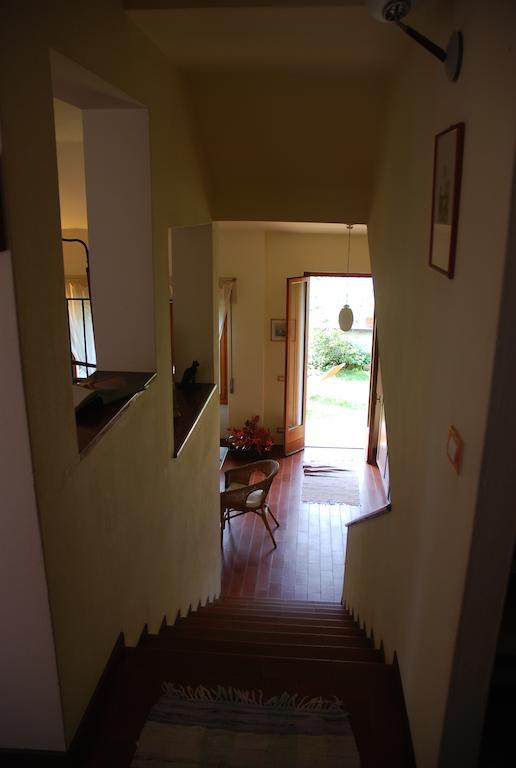 Selve Di Rogaro Tremezzo