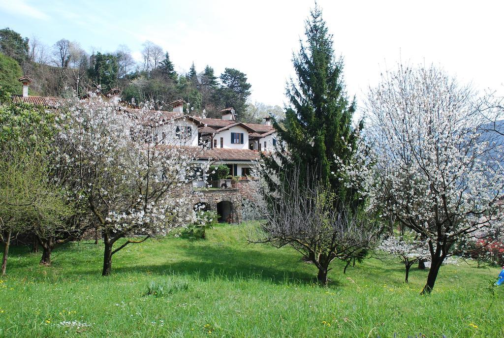 Selve Di Rogaro