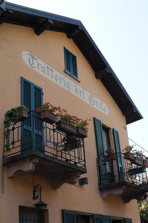 Il Grifo