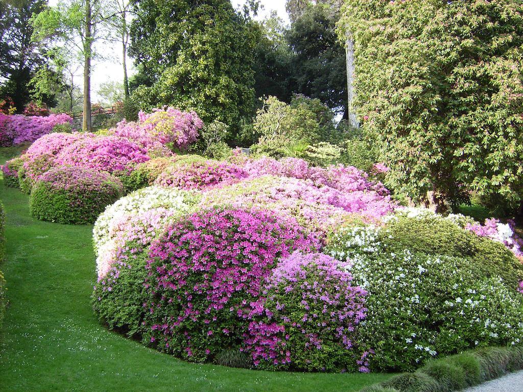 Charming Glicine And Azalea House Art And Colour With Lakeview