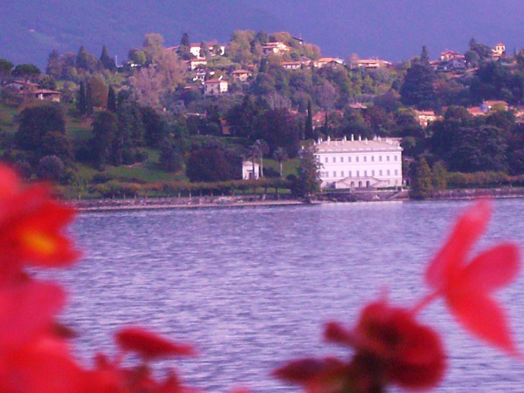 Apartment Charming Glicine And Azalea House Art And Colour With Lakeview