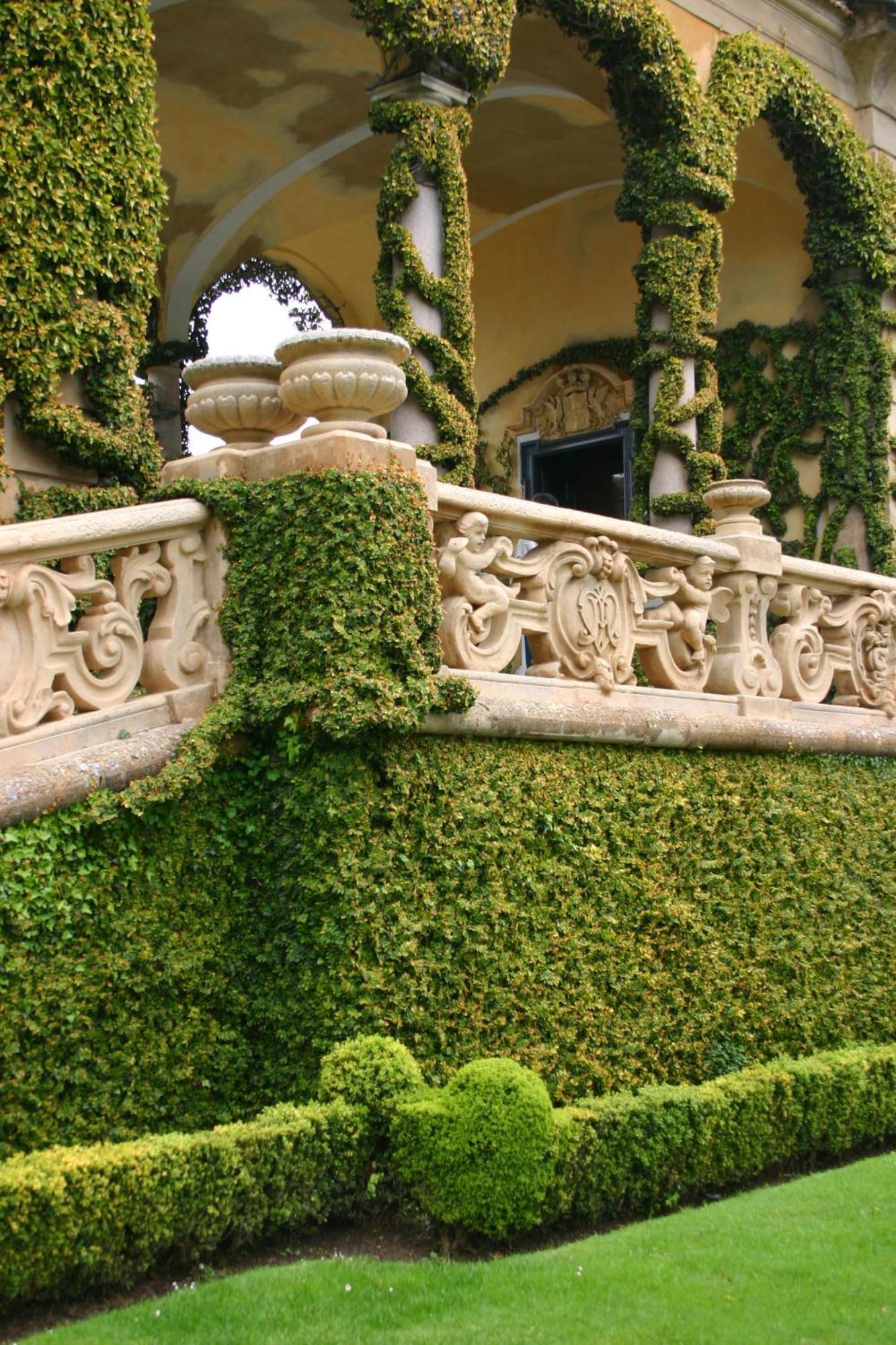 Charming Glicine And Azalea House Art And Colour With Lakeview Cadenabbia
