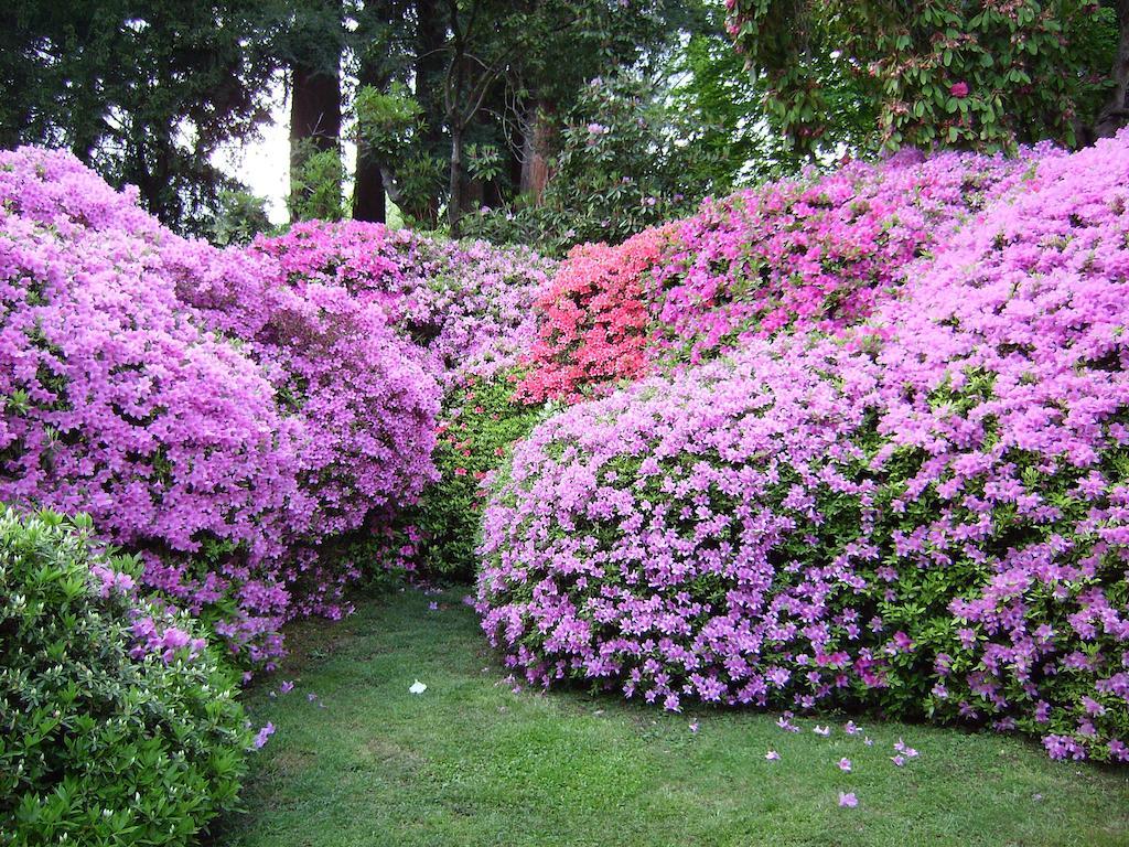 Apartment Charming Glicine And Azalea House Art And Colour With Lakeview *