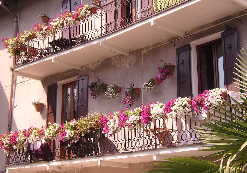 Charming Glicine And Azalea House Art And Colour With Lakeview Cadenabbia