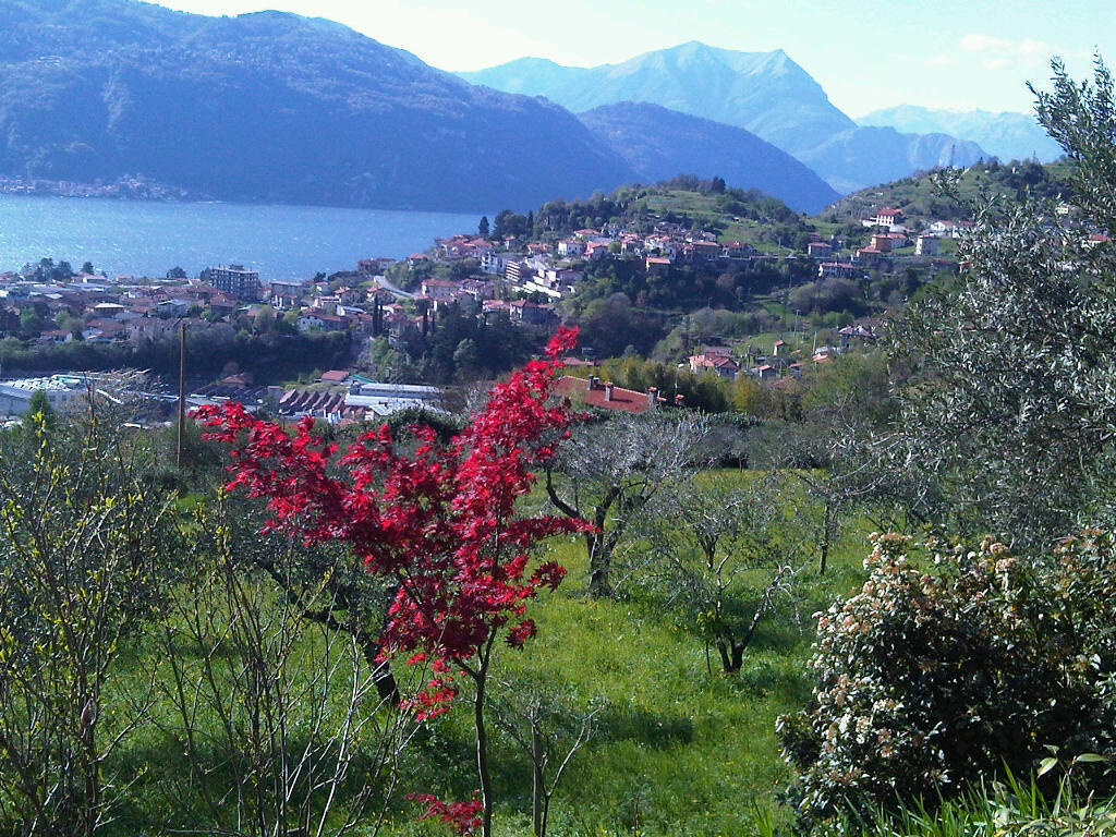 Crotto Di Somana Mandello del Lario