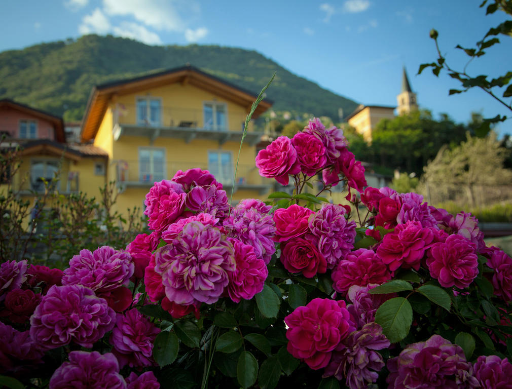 Aparthotel La Collina
