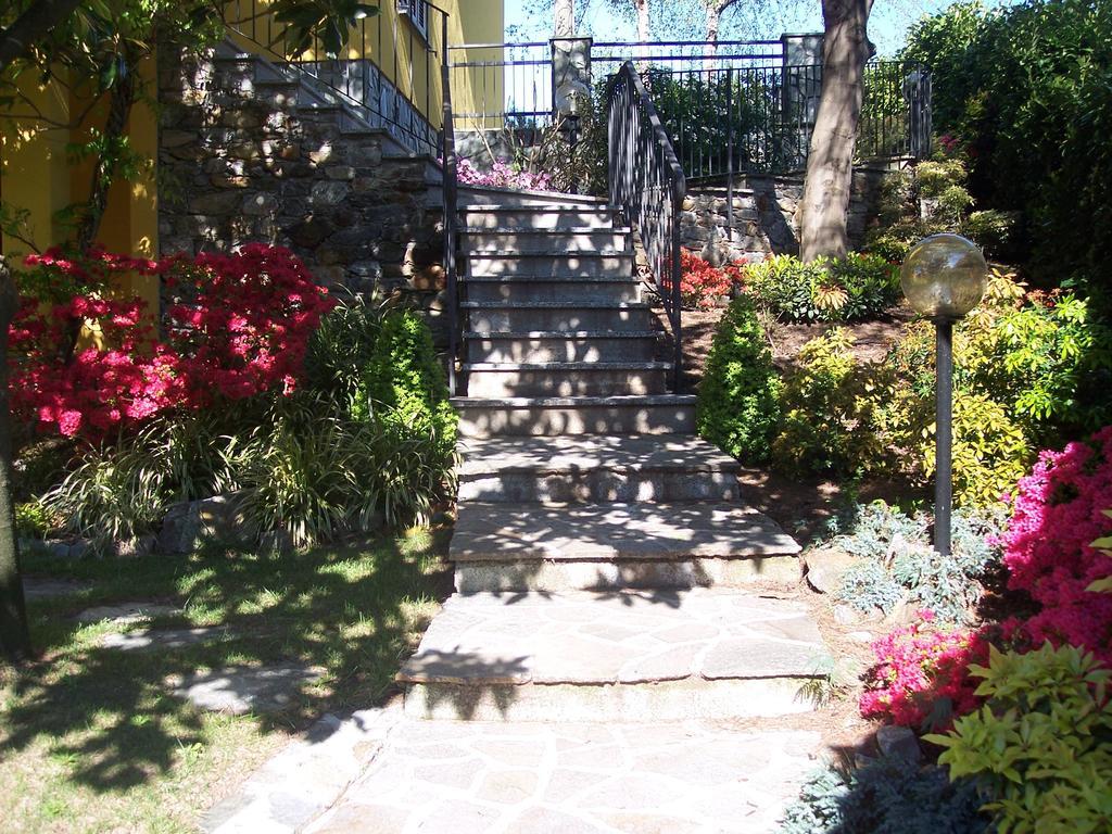 Aparthotel Mimosa
