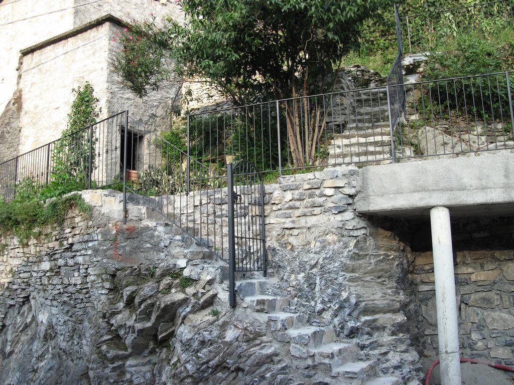 Pinky House Nesso