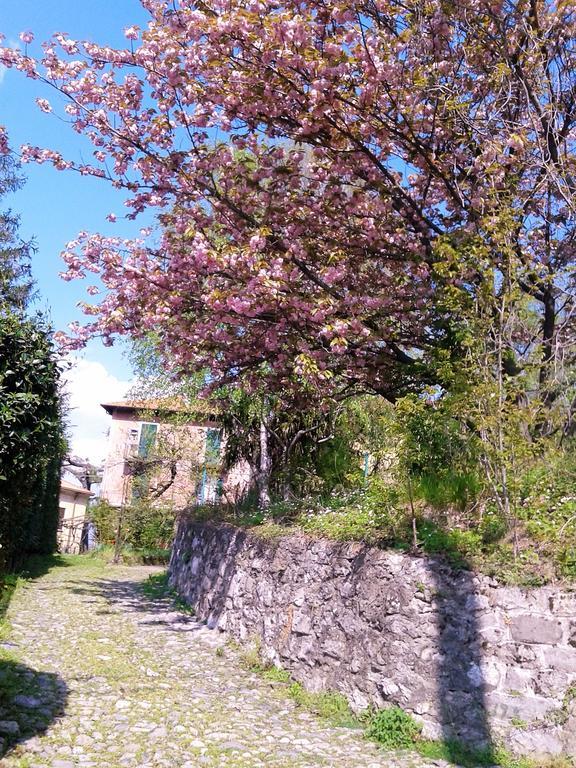 Appartamento La Cà Del Menèc Lierna