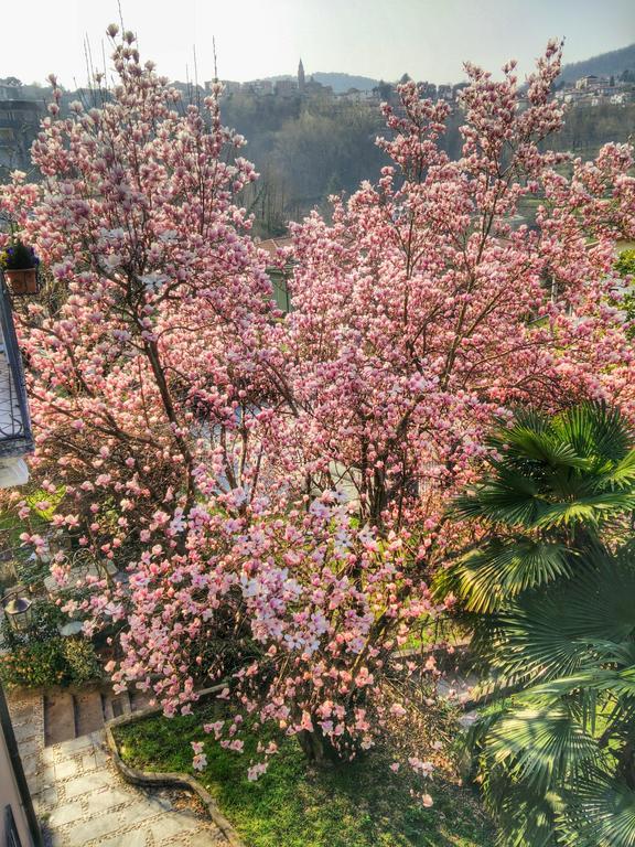 Bed & Breakfast Le Camelie 3*